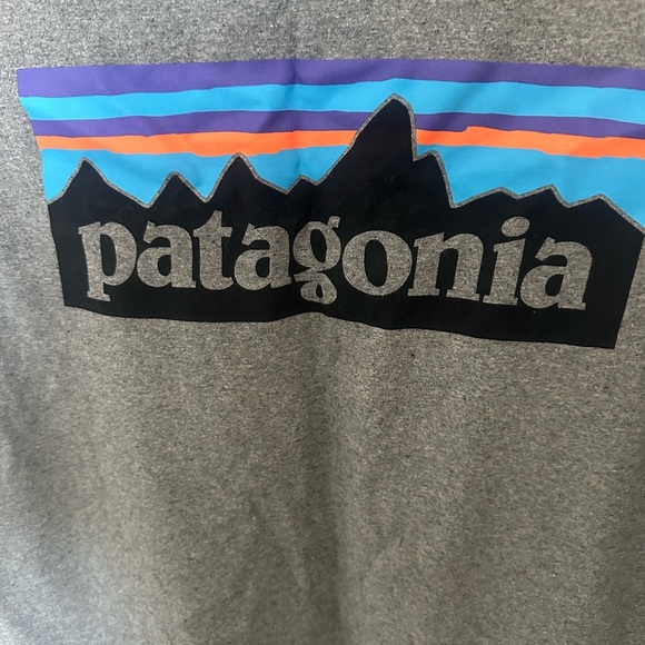 Patagonia Gray Mountain Graphic Tee - Picture 2 of 6